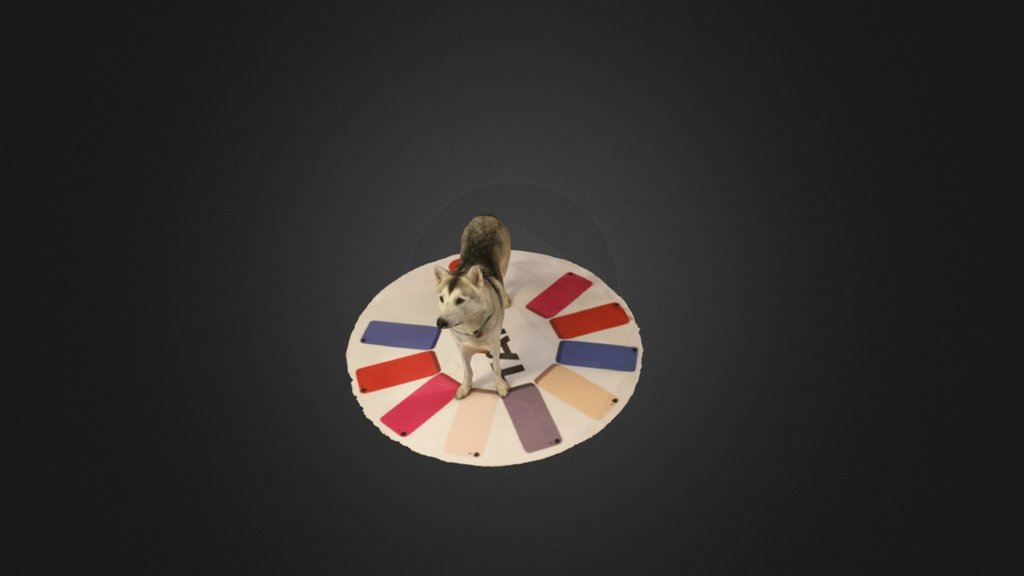 2015-12-26 Tibu standing — Sketchfab embed 3D viewer