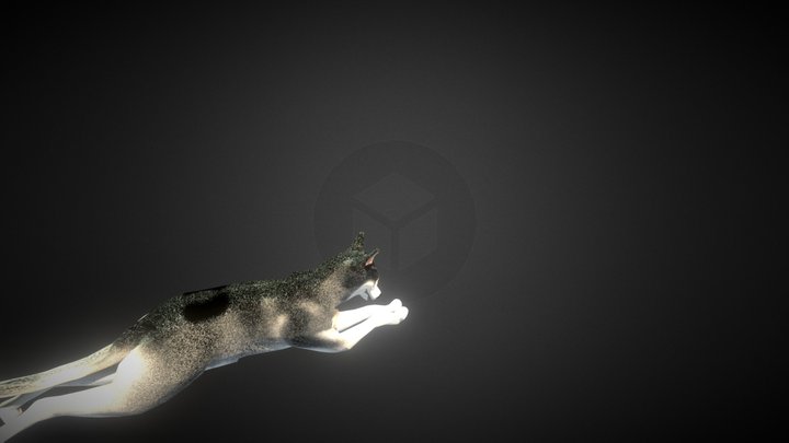 Rigged Wolf/Husky Model 3D Model