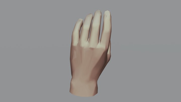 Left Hand 3D Model