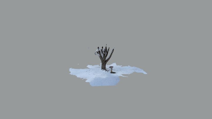 Tree with snow 3D Model