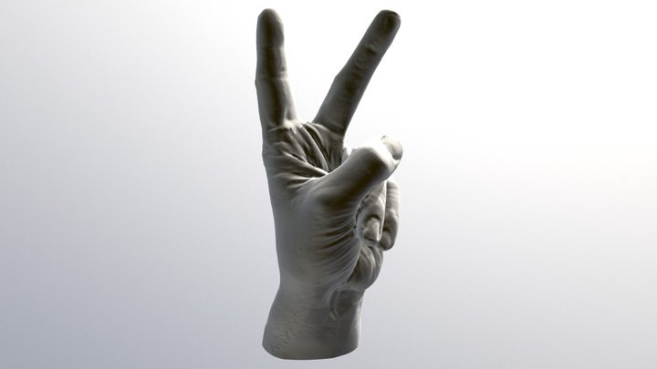 Scan23 Dprint- Hand - Scissors 04-07-2018 3D Model