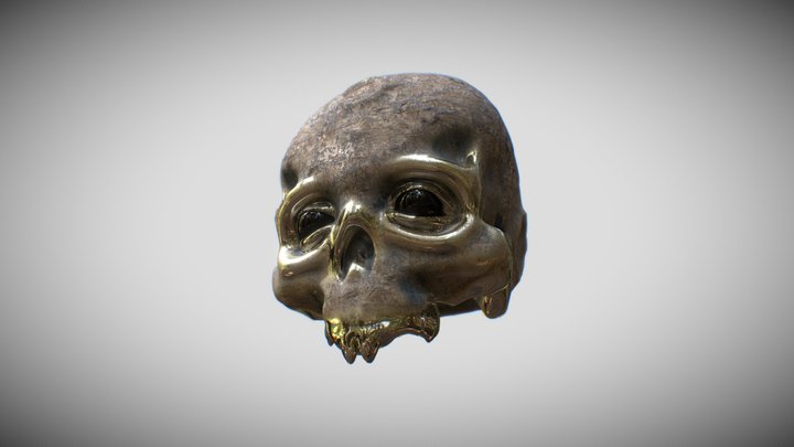 Skull Relic 3D Model