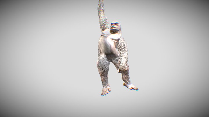 gorilla with animations at da zoo 3D Model