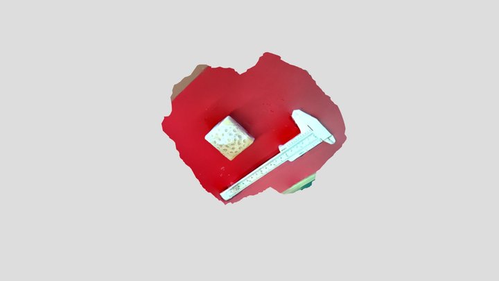 A TRNIO Model 3D Model