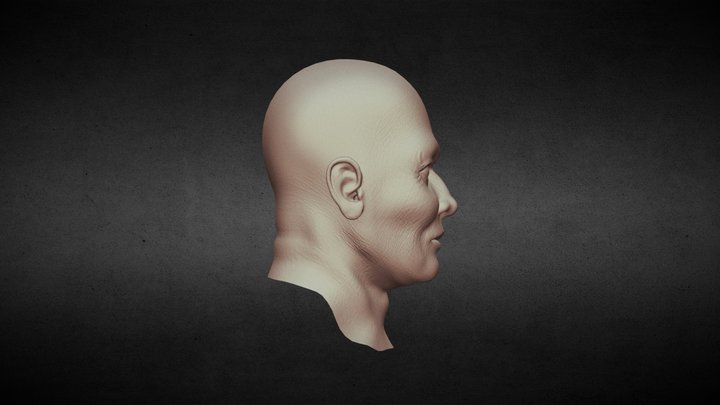 Old_Man_face 3D Model