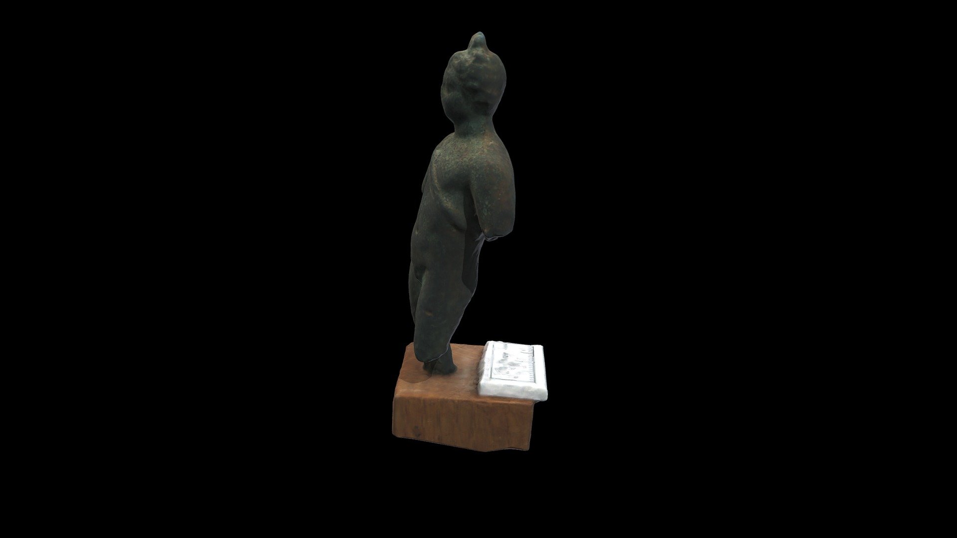 3D Eros Ehrenberg Collection