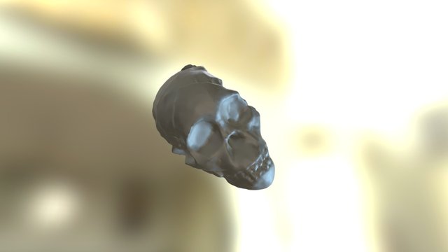 Skeleton head 3D Model