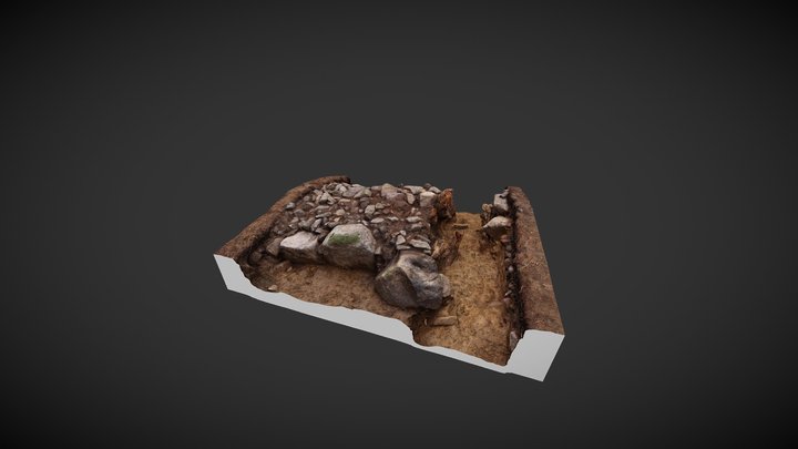 #WallScanChallenge Iron Age 3D Model