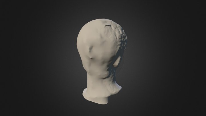 Roman Bust 3D Model