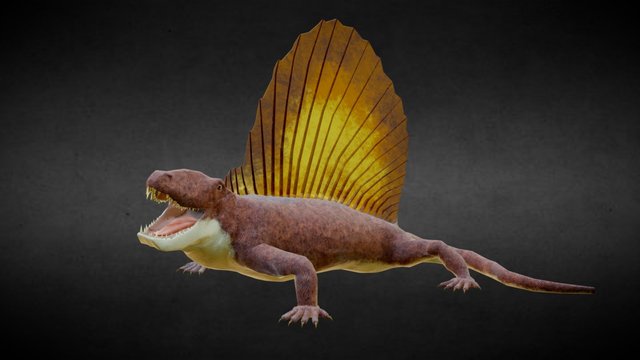 Dimetrodon 3D Model