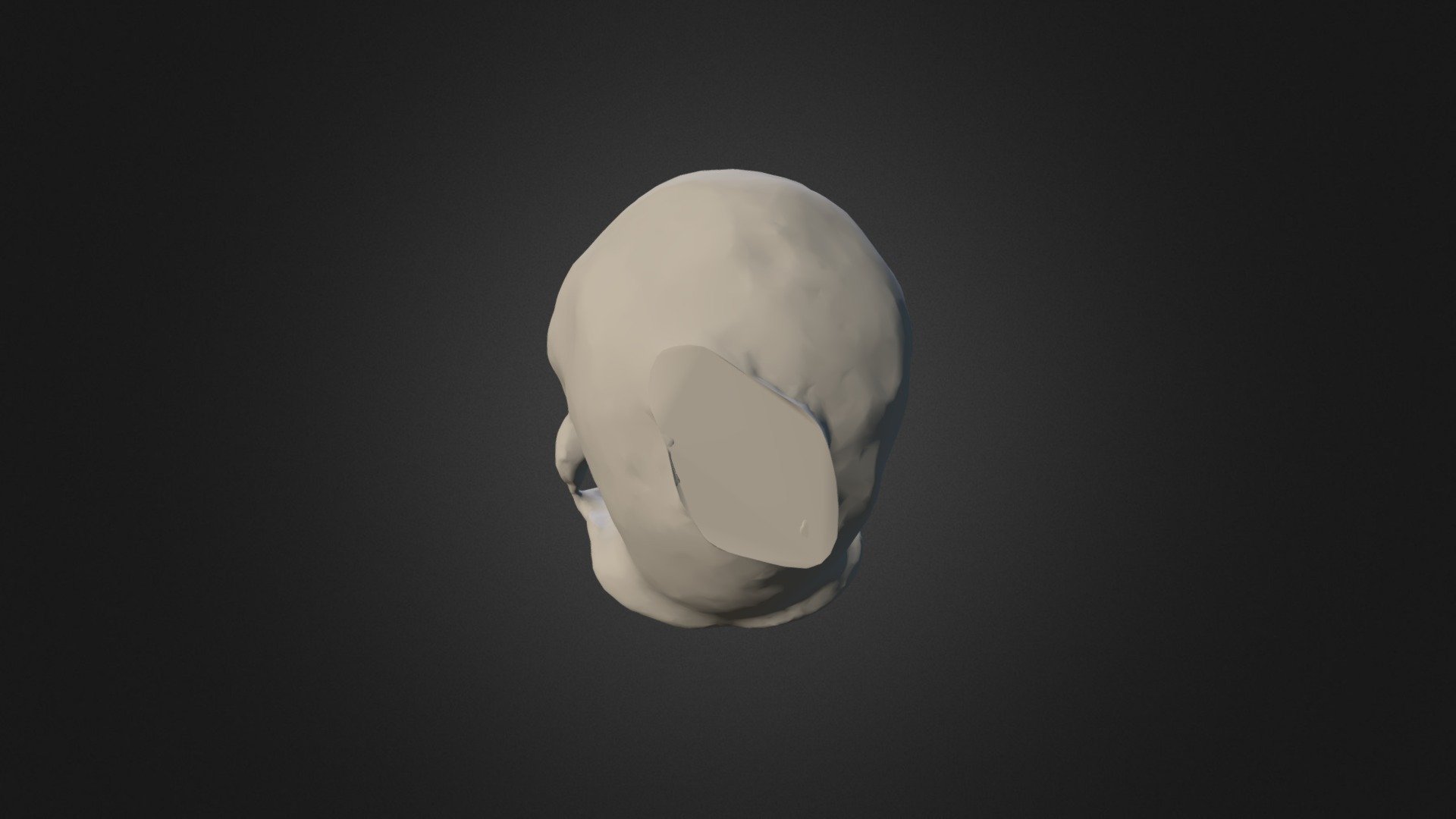 Homo georgicus - old male
