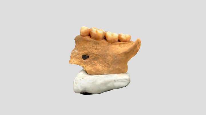 New Qlone 3D Model