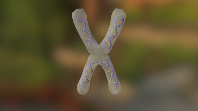 forksecond 3D Model