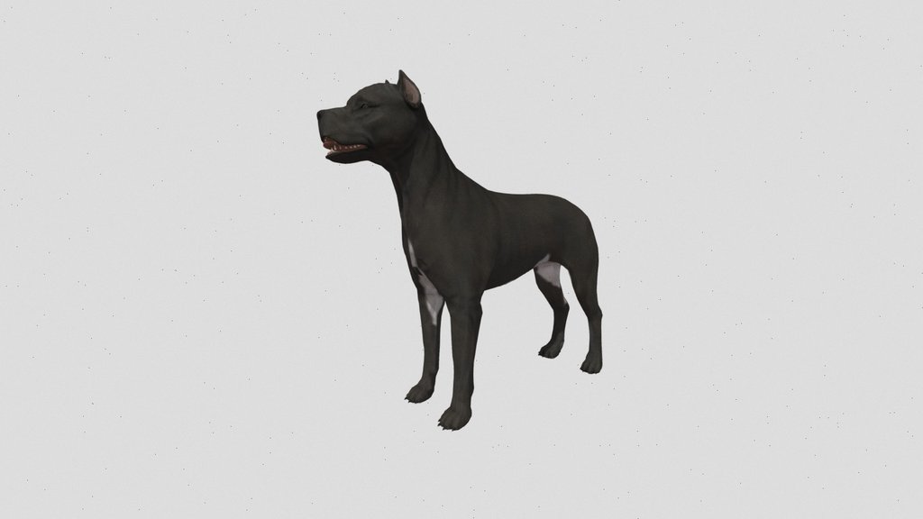 PitBull