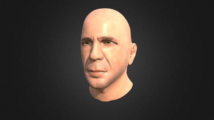 Bruce Head Sculpt 3D Model