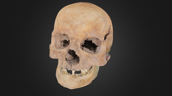 Skull I1K11B5 (Part 3: Head) – Free 3D Model STL