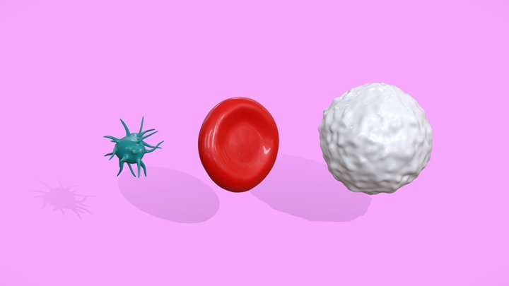 Human Blood Cell, Multi-pack 3D Model