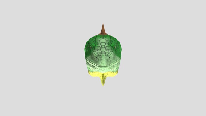 Lizard head 3D Model