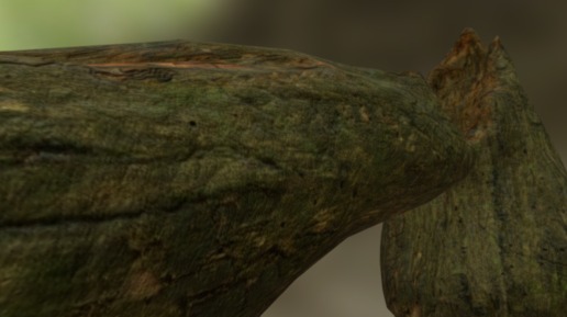 Fallen Tree2 - 3D model by MikaDGV (@MikaUnicorn) [2be7325] - Sketchfab