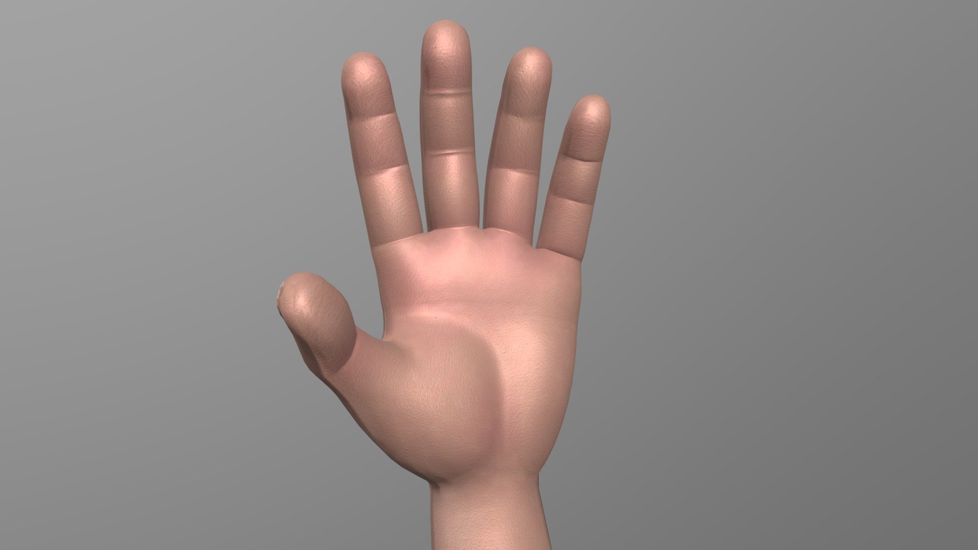 Anatomy - Arm - 3D model by Polskaball (@augustgamer1808) [2be799c ...