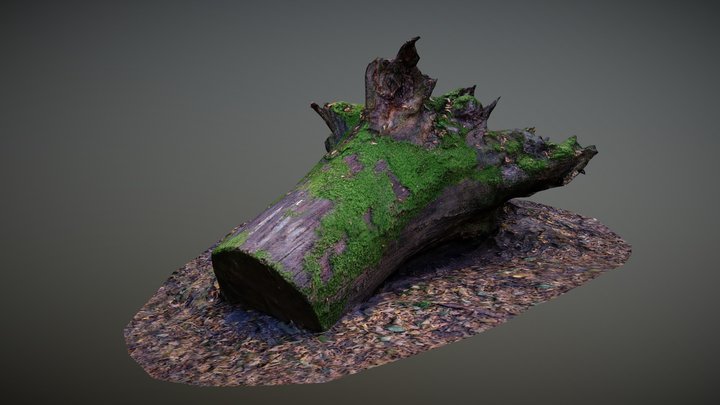 Mossy tree trunk 3D Model
