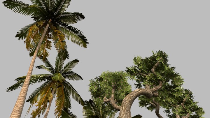 trees 3D Model