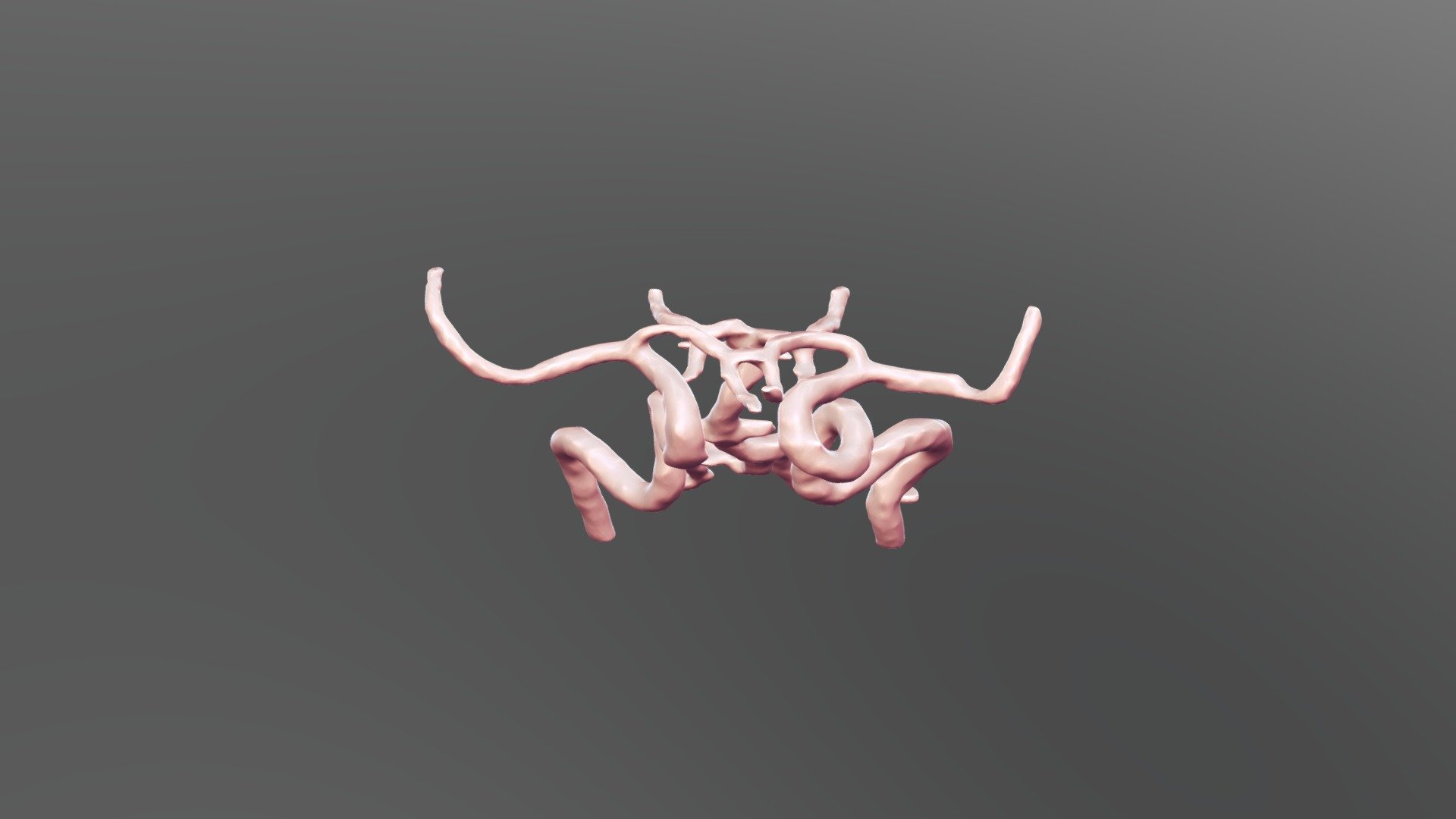 Circle of Willis reconstruction - 3D model by ScienceLifeNY [2beadad ...