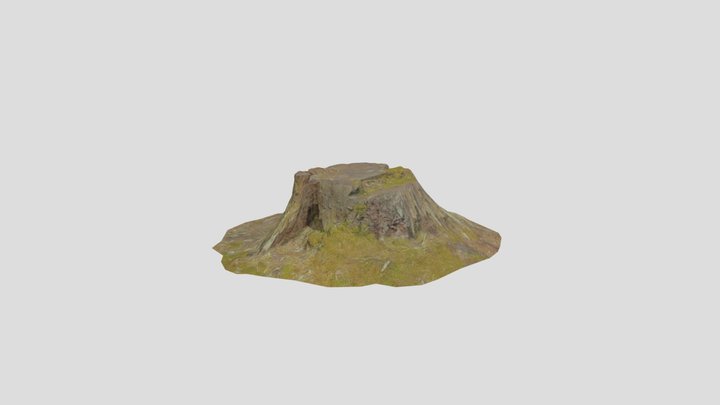 Tree Stump Sawed Pbr Scan 03 – Free 3D Model STL