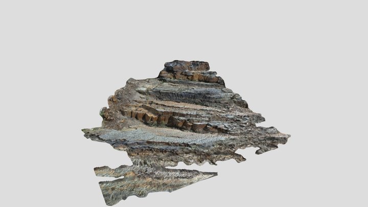 Sedimentary Structures 6 3D Model