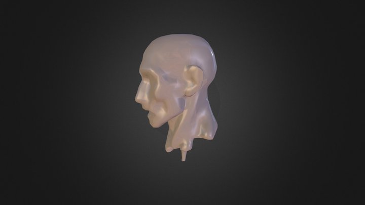 Ecorche Roughscan Kinect 3D Model