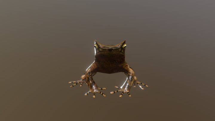 Organic Frog 3D Model