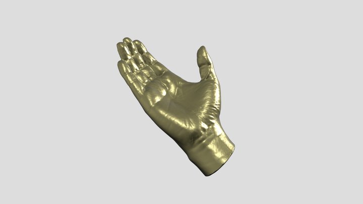Hand Scanning by CR-Scan Lizard 3D Model