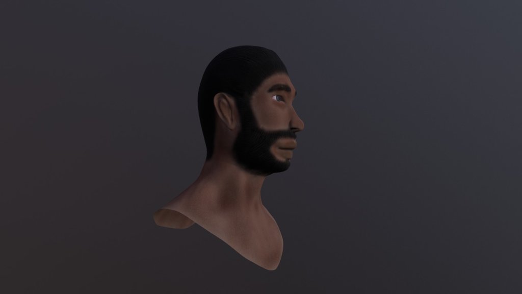 Human