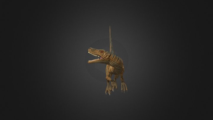 MOE Hany 3D Model