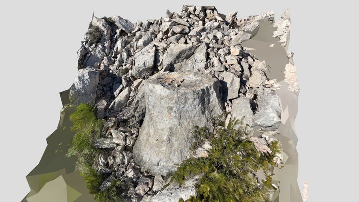 Versteinerter Baum 3D Model