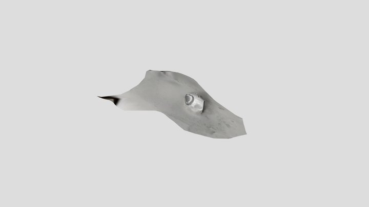 Computer mouse 3D Model