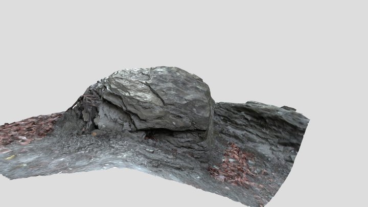 Rock Scan 004 3D Model