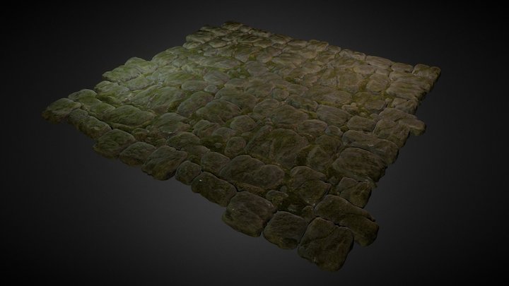 Rocky Ground with Moss 3D Model