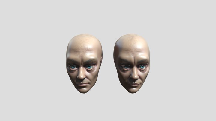 A 3d model of human eyes on faces 3D Model