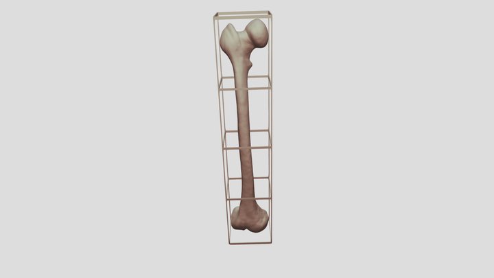 - Leg_Femur (R)_2 3D Model