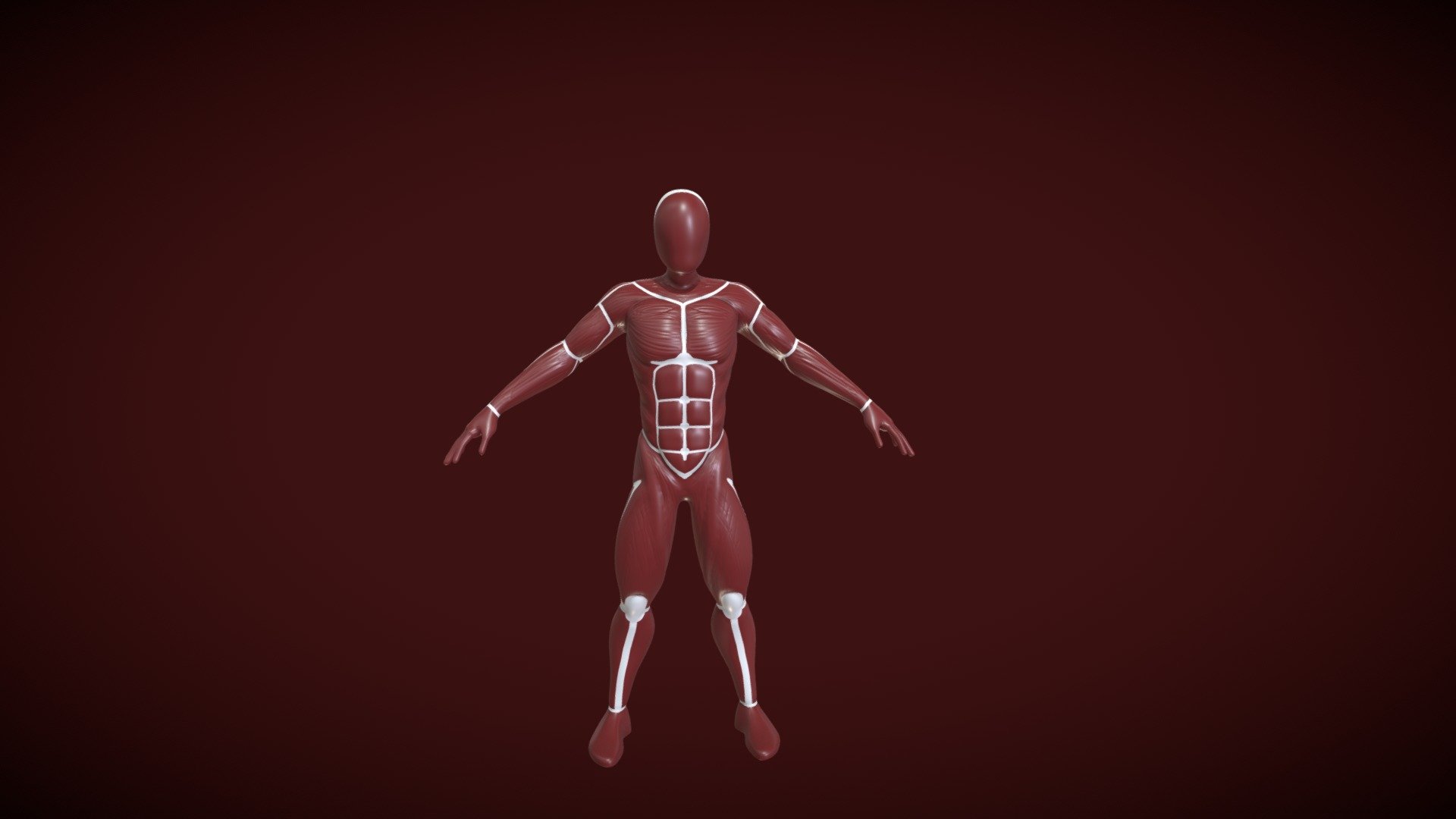 2283_Pignon_Philippe_Anatomie