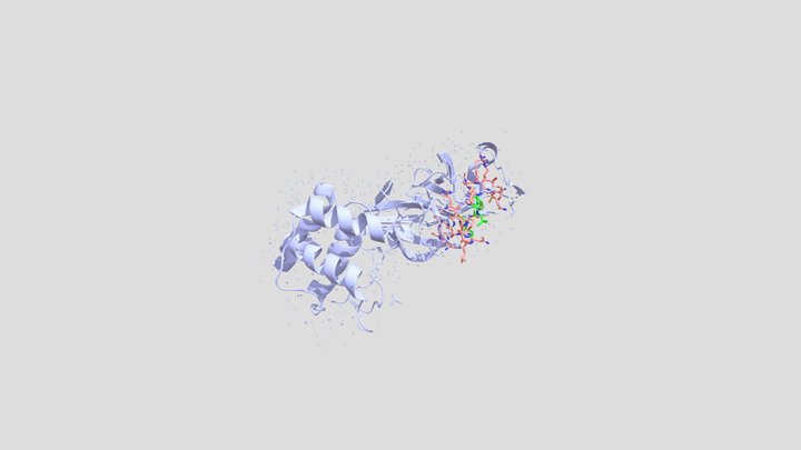 Sars-CoV-2 main protease 3D Model