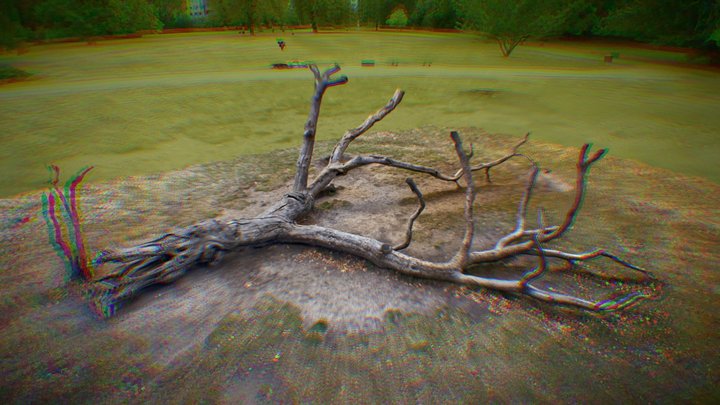 ZOO-Park dead tree 3D Model