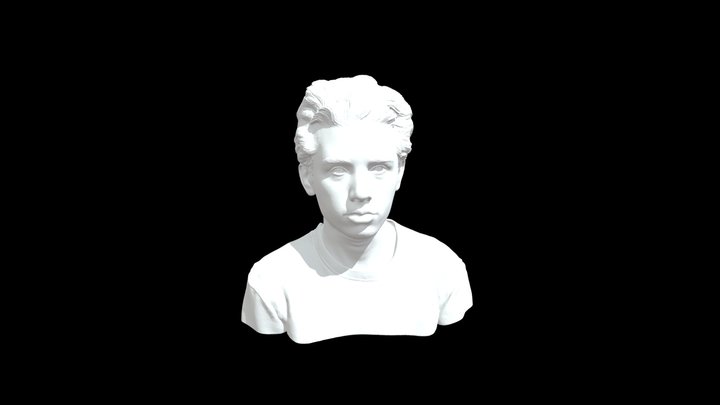 Portrait of Youth 3D Model