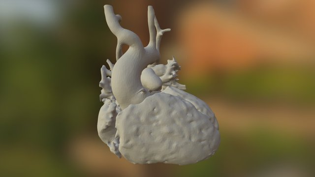 test 3D Model