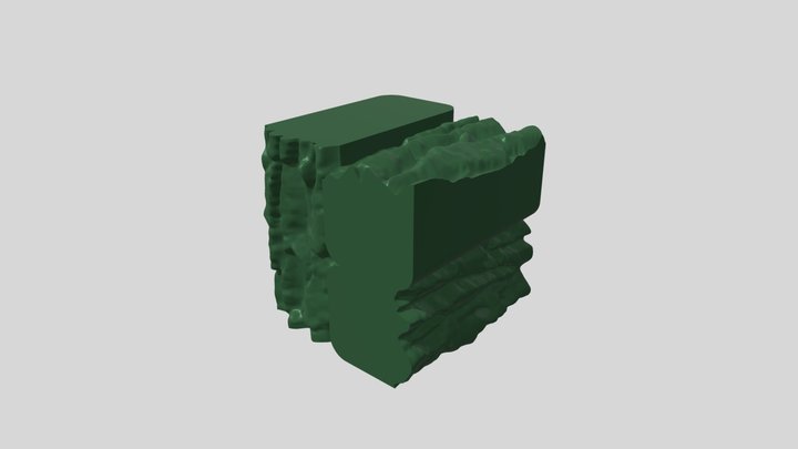Cottonwood in Forest Green 3D Model