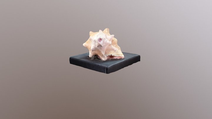Freeform scan example 3D Model