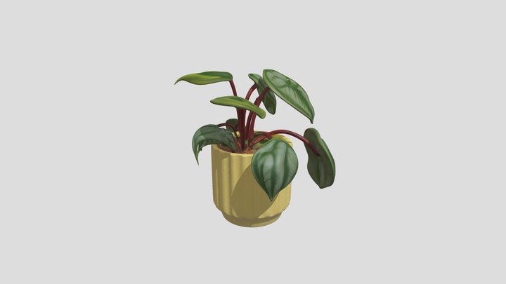 Home Decor Small Potted Plant Succulent 3D Prop