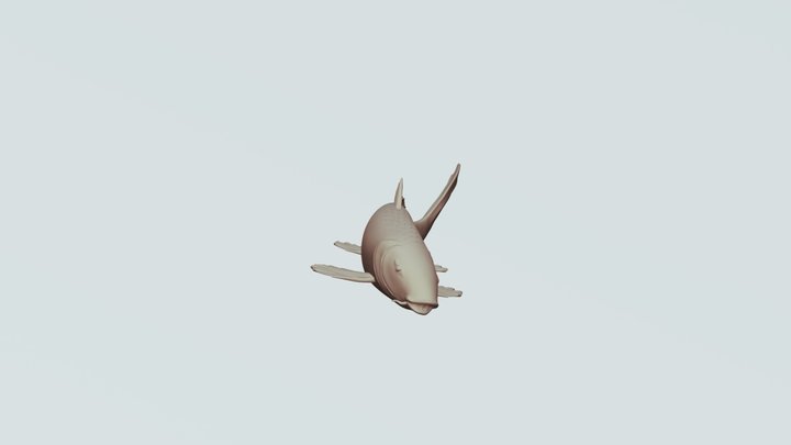 Koi 3D Model