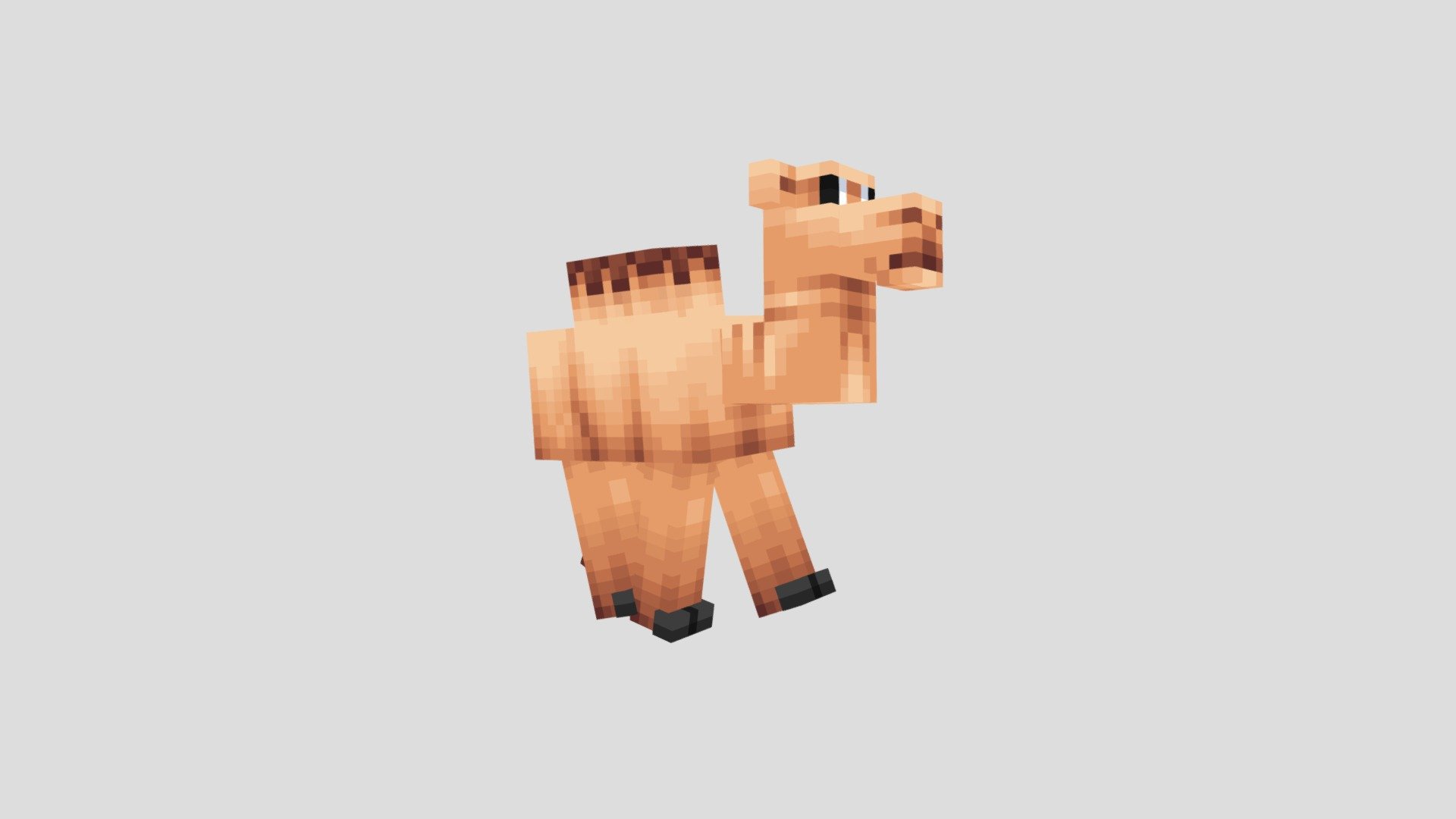 Camel Walk Cycle 3D model by harry_coughlin_ [2c0e289] Sketchfab